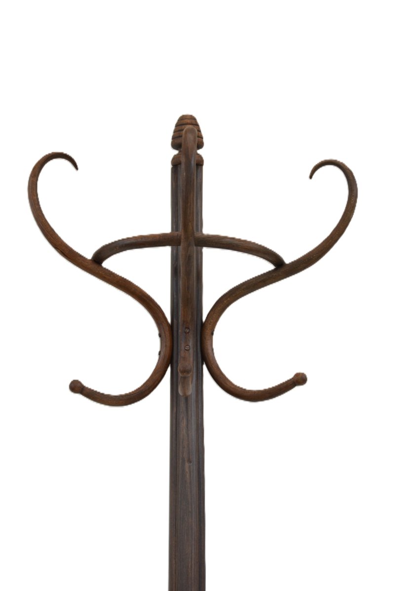 Antique Bentwood Coat Stand, Half Round Design Hall Stand, C1900, Thonet Style - Image 3